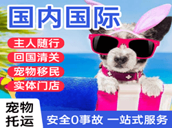 永兴航空快运国际宠物托运 【国